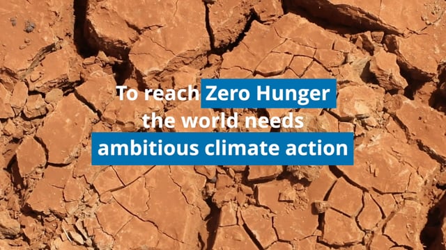 Zero Hunger Needs Ambitious Climate Action<br>World Food Programme