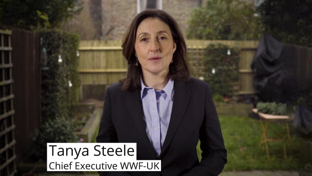 Tanya Steele's Call to Action